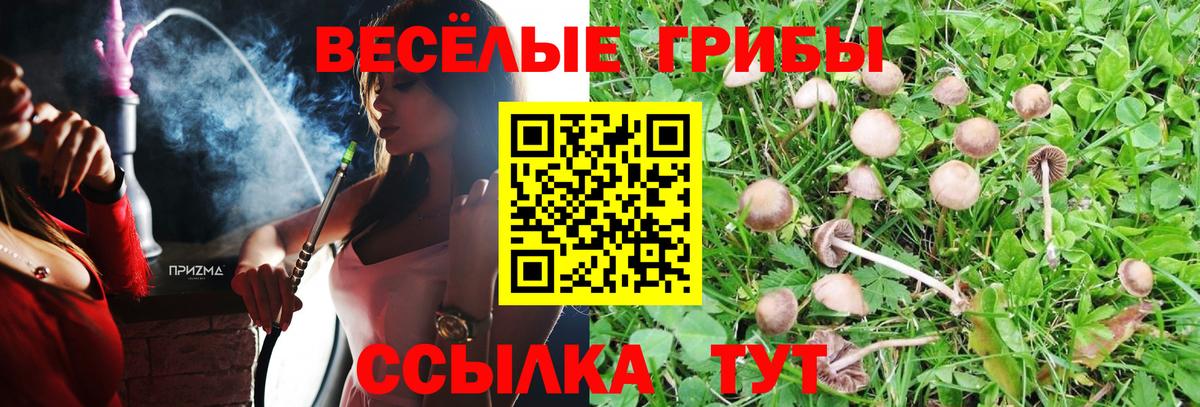 Галлюциногенные грибы Magic Shrooms Шелехов